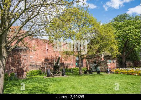 Das Bild zeigt das Außengelände von Shrewsbury Castle und der Festung, die im 11.. Jahrhundert vom englischen König Edward I. erbaut wurde Stockfoto