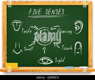 Handgezeichnete Vektor-Infografik auf einer holzgerahmten Kreidetafel der Fünf Sinne, die Anblick berühren Geruch Geschmack und Hören mit Pfeile zeigen auf Stock Vektor