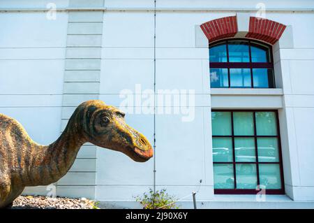 Aathal, Schweiz - 14. Mai 2022: Das Dinosauriermuseum Aathal ist ein paläontologisches Museum in der Ortschaft Aathal der Gemeinde Seegraben in Stockfoto