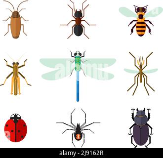 Icon Set von Insekten im flachen Stil. Schabe Ameise Marienkäfer Biene Moskito Libelle Heuschrecke Spinnenkäfer, Vektor-Illustration Stock Vektor