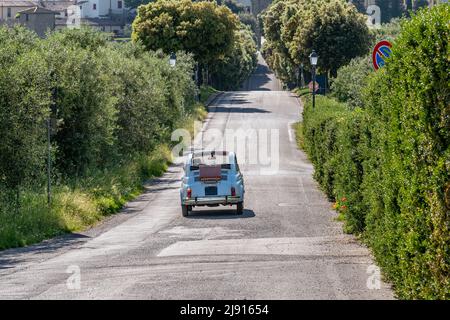 Ein altes italienisches Cabriolet fährt entlang einer typisch toskanischen Allee, Artimino, Prato, Italien Stockfoto