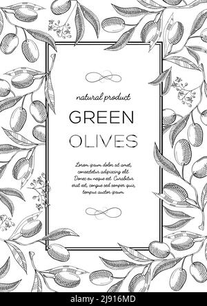 Monochrome quadratische Rahmenzusammensetzung mit Olivenbeeren, Blüte und nützliche Informationen in der Mitte handgezeichnete Skizze Vektor-Illustration Stock Vektor