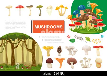 Flache Pilze bunte Zusammensetzung mit Wald Blätter Äste essbar und Vektorgrafik giftige Pilze Stock Vektor