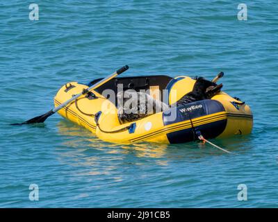 Martin's Haven, Pembrokeshire, Wales, Großbritannien. 19.. Mai 2022. Eine männliche atlantische Kegelrobbe hat sich dafür entschieden, ein kleines Schlauchboot zu verwenden, das auf dem Meer festgemacht ist, um es zu transportieren. Es war ein schöner, warmer, sonniger Frühlingstag vor der Westküste von Waes und die Robbe war deutlich entspannt im Sonnenschein. Quelle: Phil Jones/Alamy Live News Stockfoto