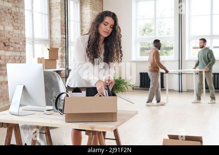 Lockige junge Frau in weißer Bluse, die am Holzschreibtisch mit Computer stand und im neuen Büro persönliche Sachen aus der Schachtel packte Stockfoto