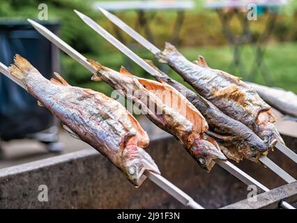 Europäischer Seebarsch auf dem Grill. Außengrill mit Fisch Stockfoto