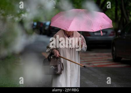 Moskau, Russland. 19.. Mai 2022. Eine ältere Frau läuft unter einem Regenschirm vor dem Hintergrund blühender Bäume auf einer Straße in Moskau, Russland Stockfoto