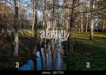 Frostiger Morgen auf der Insel Saaremaa, Estland Stockfoto