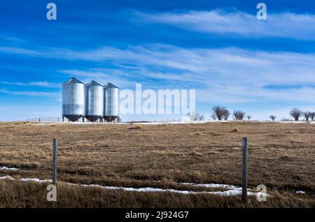 Getreidesilos, die Weizen auf natürlichem Gras halten, umgeben von einem Stacheldrahtzaun auf den kanadischen Prärien in Rocky View County Alberta unde Stockfoto
