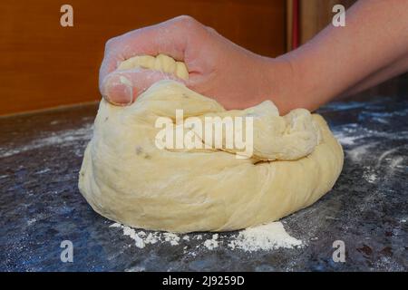 Schwäbische Küche, Zubereitung Ulmer Zuckerbrot, süßer Hefeteig mit Fenchelsamen, ungebrannter Teig, kneten, Mehl, backen, Vegetarier, Männer Stockfoto