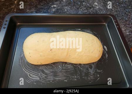 Schwäbische Küche, Zubereitung Ulmer Zuckerbrot, süßer Hefe Hefeteig mit Fenchelsamen, ungebrannter Teig auf Backblech, Backen, vegetarisch Stockfoto