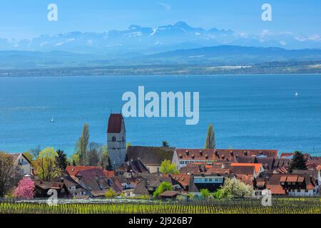 Blick über Hagnau am Bodensee im Frühjahr Richtung Alpen, Baden-Württemberg, Deutschland, Hagnau, Bodensee, Baden-Württemberg, Deutschland Stockfoto