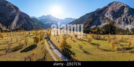 Panorama, Karwendel, Luftaufnahme, Grosser Ahornboden im Herbst, gelber Bergahorn, Risstal in der eng, Tirol, Österreich Stockfoto