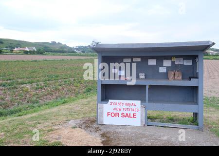 Am Straßenrand gibt es einen nicht besetzten Honesty Stall, der Jersey Royals, anderes Gemüse und Eier in St. Peter, Jersey, Channel Islands verkauft Stockfoto