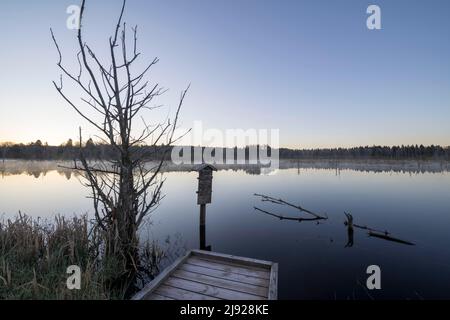 Blick über das Schwenninger Moos, Villingen-Schwenningen, Kreis Schwarzwald-Baar, Baden-Württemberg Stockfoto