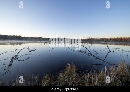 Blick über das Schwenninger Moos, Neckarquelle, Villingen-Schwenningen, Schwarzwald-Baarkreis, Baden-Württemberg Stockfoto