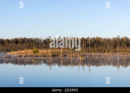 Blick über das Schwenninger Moos, Neckarquelle, Villingen-Schwenningen, Schwarzwald-Baarkreis, Baden-Württemberg Stockfoto