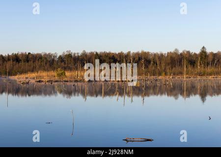 Blick über das Schwenninger Moos, Neckarquelle, Villingen-Schwenningen, Schwarzwald-Baarkreis, Baden-Württemberg Stockfoto