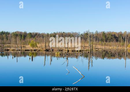 Blick über das Schwenninger Moos, Neckarquelle, Villingen-Schwenningen, Schwarzwald-Baarkreis, Baden-Württemberg Stockfoto