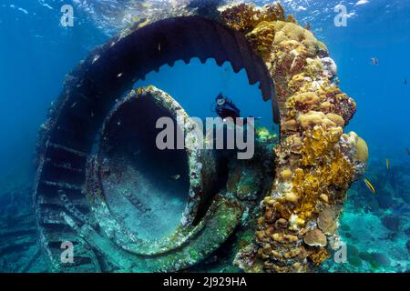 Taucher, Zahnkranz aus Geschützturm, Schiffswrack, Wrack auf Sandboden, Spanischer Panzerkreuzer Christobal Colon, auf Grund in der Seeschlacht vor Stockfoto