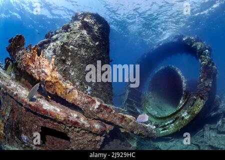 Geschützturm, umgedreht, hinten gezahnter Rand des Geschützturms, Schiffswrack, Wrack auf Sandboden, Spanischer Panzerkreuzer Christobal Colon, auf Grund laufen Stockfoto