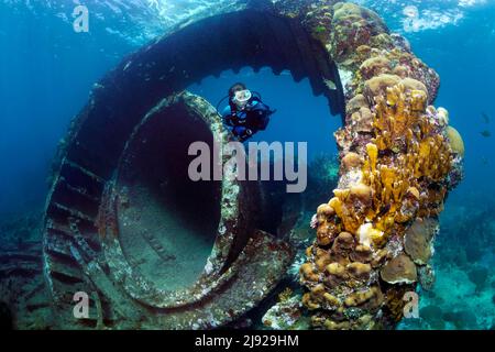 Taucher, Zahnkranz aus Geschützturm, Schiffswrack, Wrack auf Sandboden, Spanischer Panzerkreuzer Christobal Colon, auf Grund in der Seeschlacht vor Stockfoto