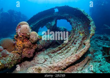 Zahnkranz aus Geschützturm, Schiffswrack, Wrack auf Sandboden, Spanischer Panzerkreuzer Christobal Colon, auf Grund in der Seeschlacht vor Santiago de Stockfoto