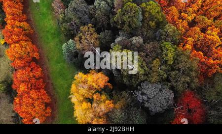 Herbst von oben Stockfoto