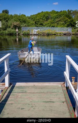 Mai 2022. Fährmann Kevin Wilkinson scheidet nach fast 20 Jahren Betrieb der historischen Penny Ferry über den Manchester Ship Canal in Thelwall aus Stockfoto