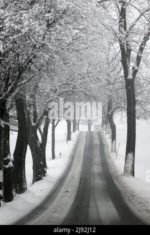 11.02.2021, Oberscheibe, Sachsen, Deutschland - Landstraße in winterlicher Landschaft. 00S210211D539CAROEX.JPG [MODEL RELEASE: NO, PROPERTY RELEASE: NO (C) CARO Stockfoto