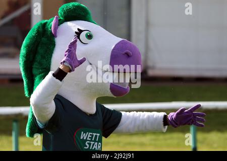 16.10.2021, Magdeburg, Sachsen-Anhalt, Deutschland - Horseike, Maskottchen der Wettfirma Wettstar. 00S211016D615CAROEX.JPG [MODELLVERSION: NEIN, EIGENTUM Stockfoto