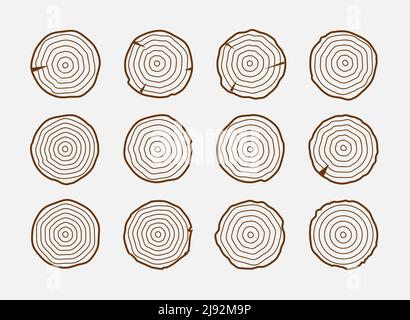 Baumwachstum Ringe Holzstamm Vektor jährlichen organischen Stumpf. Design mit einem Baumkreis-Symbol Stock Vektor