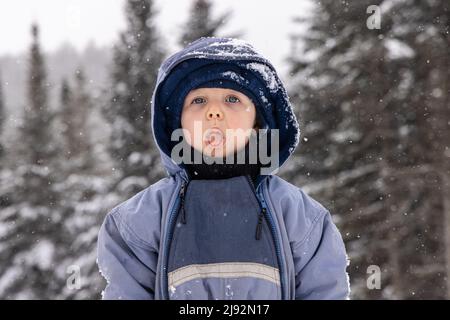 Nahaufnahme Porträt eines verschmitzten zweijährigen Jungen, der während des verschneiten Wintertages die Zunge in einer gepolsterten Jacke mit Kapuze und wolligem Hut aus der Tasche ragt. Stockfoto