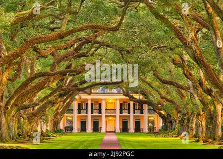 Oak Alley Plantation in der Nähe von New Orleans Louisiana. National Historic Landmark am Mississippi River in Vacherie LA. Stockfoto