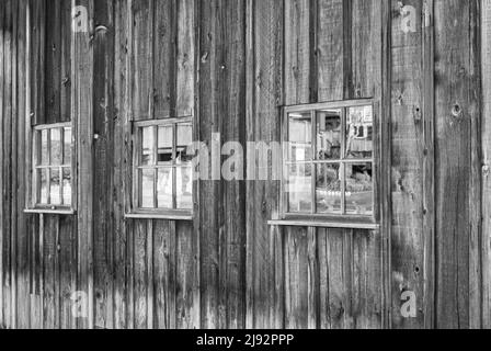 Fenster auf einer verwitterten Holzwand, abstrakter, grungiger Hintergrund. Verblasste alte Mauer mit Fenstern einer Scheune. Straßenfoto, Niemand, selektiver Fokus Stockfoto