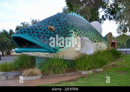 Die Kabeljaufischskulptur am Murray River ist eines der großen Dinge in der Outback-Stadt Swan Hill in Victoria Stockfoto