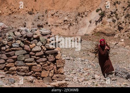 Frau mit Brennholz, Azib Ikkis, Atlas-Gebirge, marokko, afrika Stockfoto