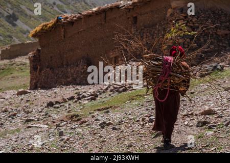 Frau mit Brennholz, Azib Ikkis, Atlas-Gebirge, marokko, afrika Stockfoto