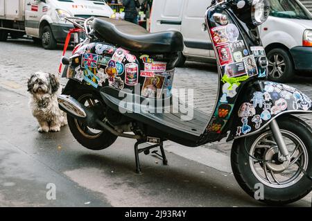 Schwarzer Roller mit Aufklebern und kleinem Hund in Paris, Frankreich bedeckt Stockfoto
