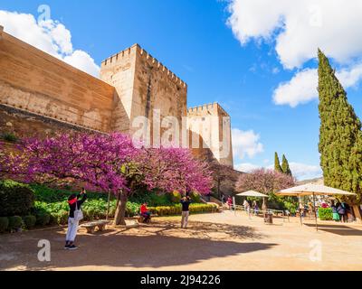 Alcazaba Festungsmauer an der plaza de los Algybes de la Alhambra - Granada, Spanien Stockfoto