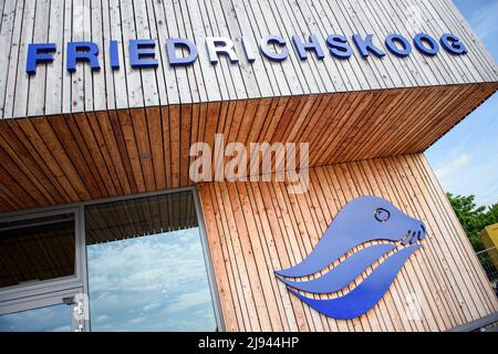 Friedrichskoog, Deutschland. 20.. Mai 2022. Das stilisierte Profil eines Siegels dient als Logo für die Siegelstation Friedrichskoog am Eingang zum Besucherzentrum. Quelle: Gregor Fischer/dpa/Alamy Live News Stockfoto