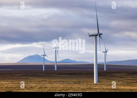 Ein Windpark in Sibster Burn, Halkirk, Caithness, Schottland, Großbritannien Stockfoto