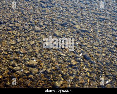 Klares, flaches Wasser, das an einem hellen, sonnigen Tag aus glatten Kieselsteinen über das Flussbett fließt. Stockfoto