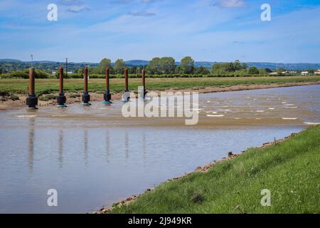 Die Flut kommt auf dem Fluss Dee, Deeside, Nordwales Stockfoto