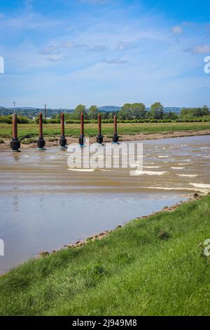 Die Flut kommt auf dem Fluss Dee, Deeside, Nordwales Stockfoto