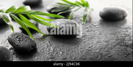 Spa-Behandlung - Massage Steine und grüne Blätter auf schwarzem nassen Hintergrund. Banner Stockfoto