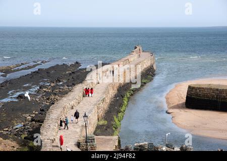 The Harbour St Andrews Stockfoto