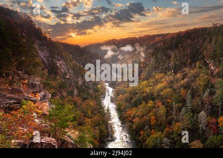 Tallulah fällt, Georgia, USA mit Blick auf Tallulah Gorge in die Herbstsaison. Stockfoto