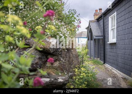 Coverack auf der Halbinsel Lizard in Cornwall. Bilddatum: Freitag, 6. Mai 2022. Foto von Christopher Ison © Stockfoto