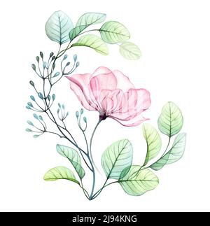 Transparente abstrakte Anordnung von großen rosa Blüten und Eukalyptusblättern. Rose in einem grünen Kranz. Aquarell handgezeichnete Illustration isoliert Stockfoto